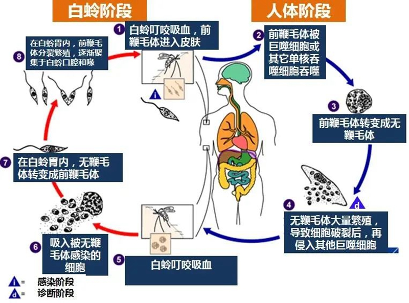 副本3.jpg