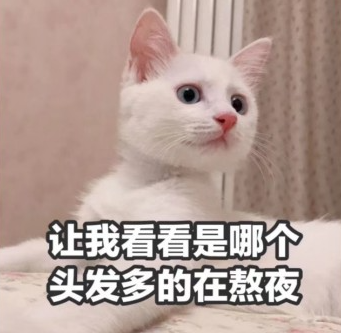 1743132758519945.png 7.png