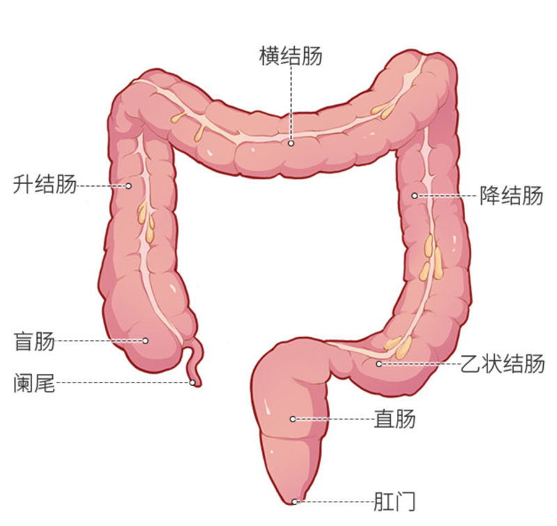 7.png