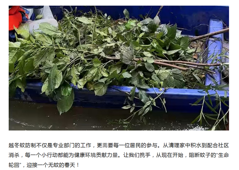 1763259962453675.png 333_副本.png