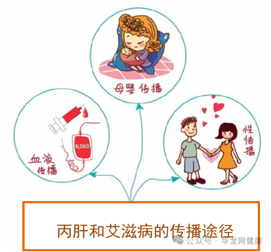 1765845520800158.png 1.png