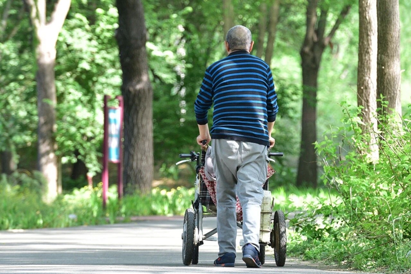 1766969246521557.jpg 2.jpg