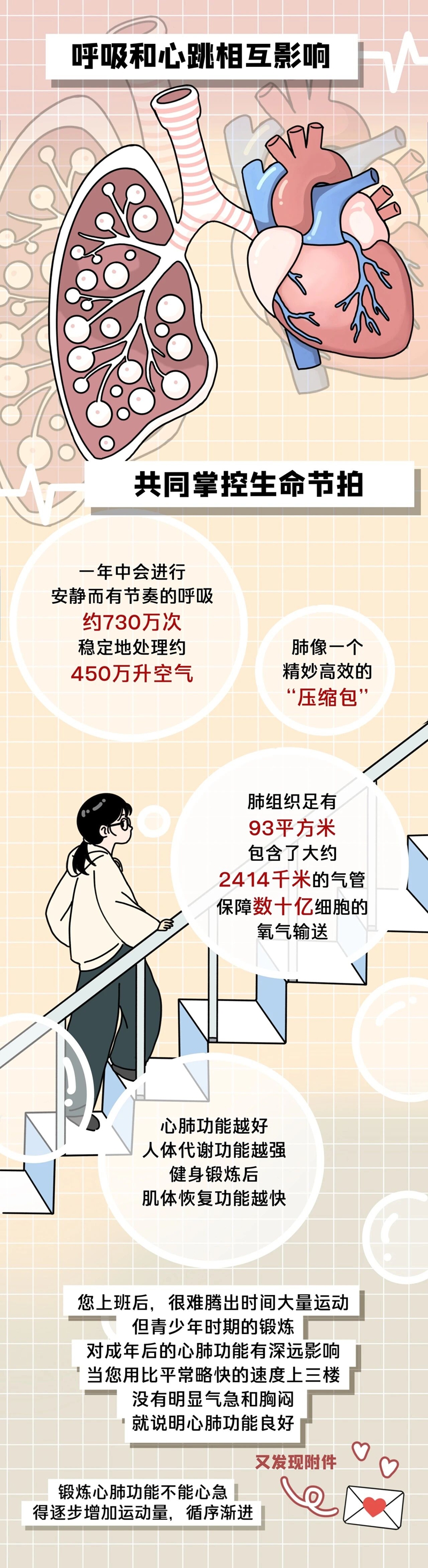 1767141929377829.jpg 5.jpg