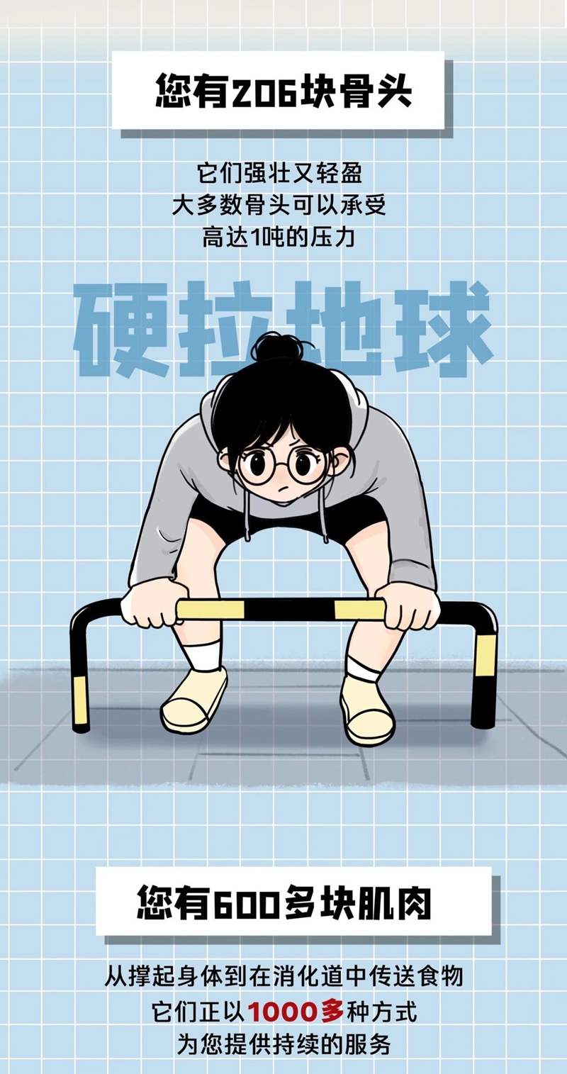 1767141963185768.jpg 9.jpg