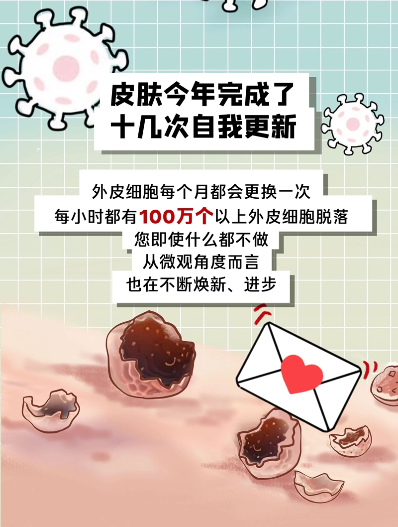 1767141979197017.jpg 12.jpg