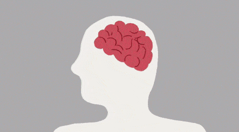 1770597847900241.gif 1_compressed.gif